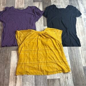 Women’s Medium Short Sleeve Tops, Lot Of 3